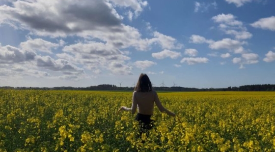 NattySweet Vorschaubild